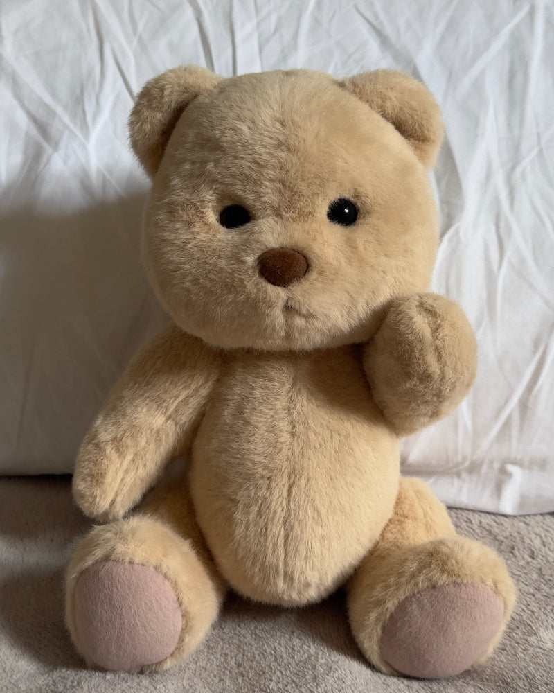 JoyBoo – Rex, the Roaring Dino Bear
